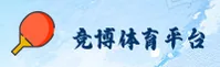 使用指南与常见问题